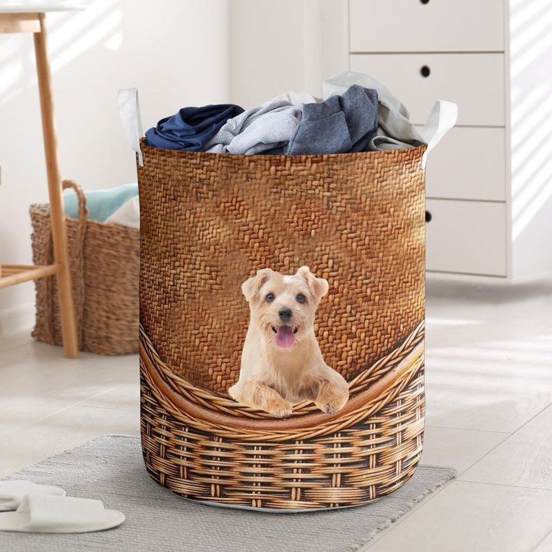 Norfolk Terrier - Rattan - LB - Carbone&