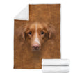 Nova Scotia Duck Tolling Retriever Face Hair - Carbone's Marketplace