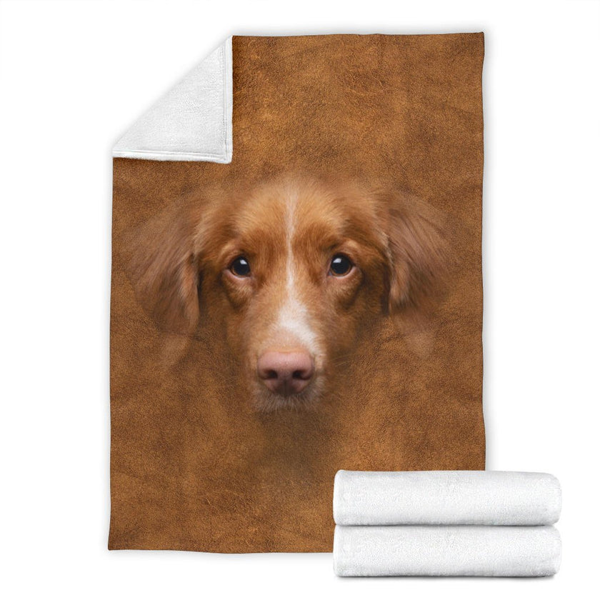 Nova Scotia Duck Tolling Retriever Face Hair - Carbone's Marketplace