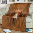 Nova Scotia Duck Tolling Retriever Face Hair - Carbone's Marketplace