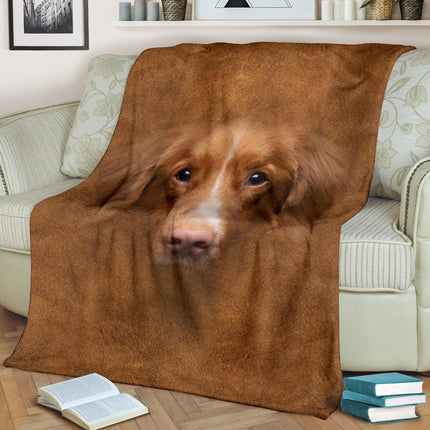 Nova Scotia Duck Tolling Retriever Face Hair - Carbone's Marketplace