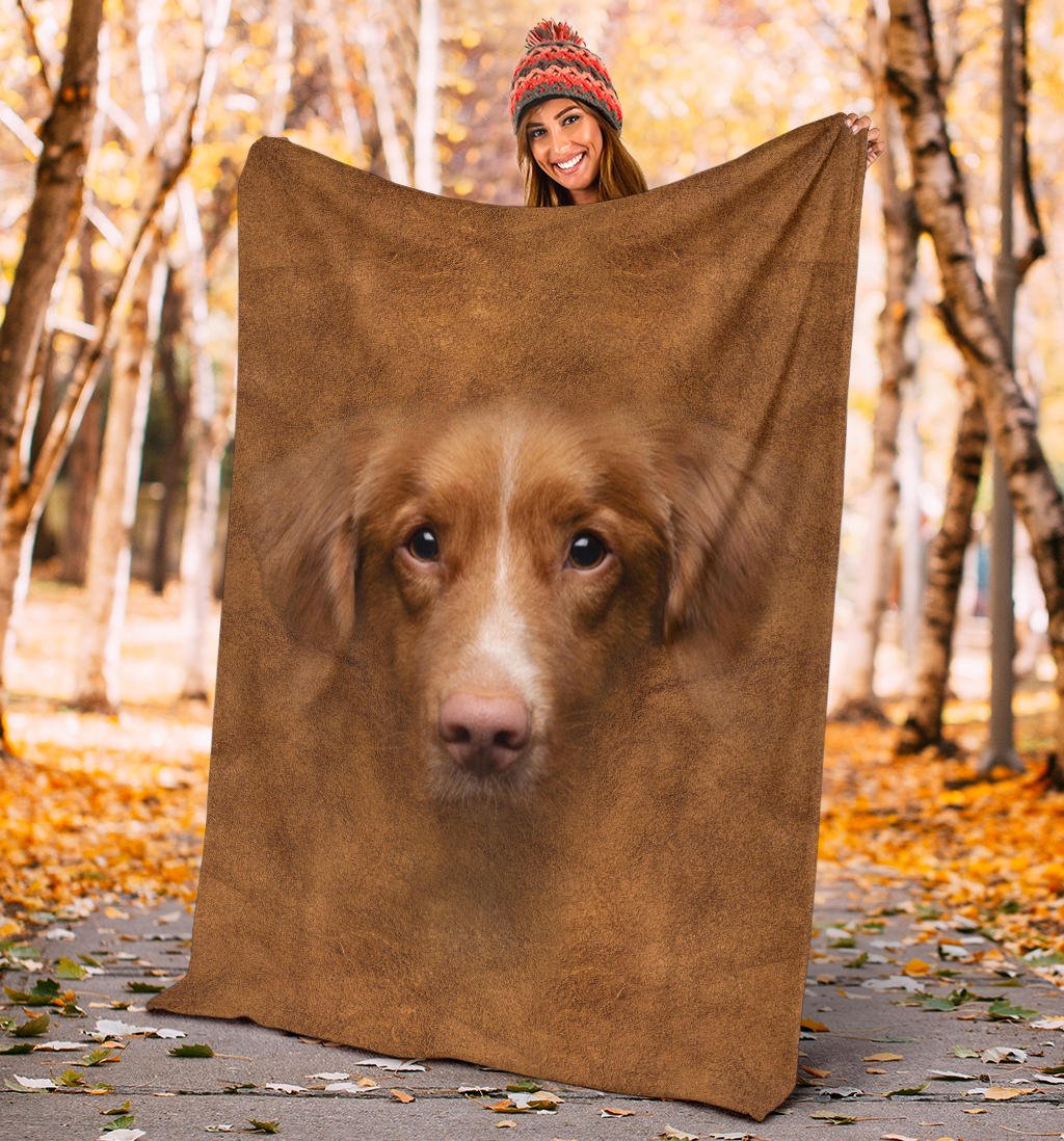 Nova Scotia Duck Tolling Retriever Face Hair - Carbone's Marketplace