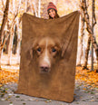 Nova Scotia Duck Tolling Retriever Face Hair - Carbone's Marketplace