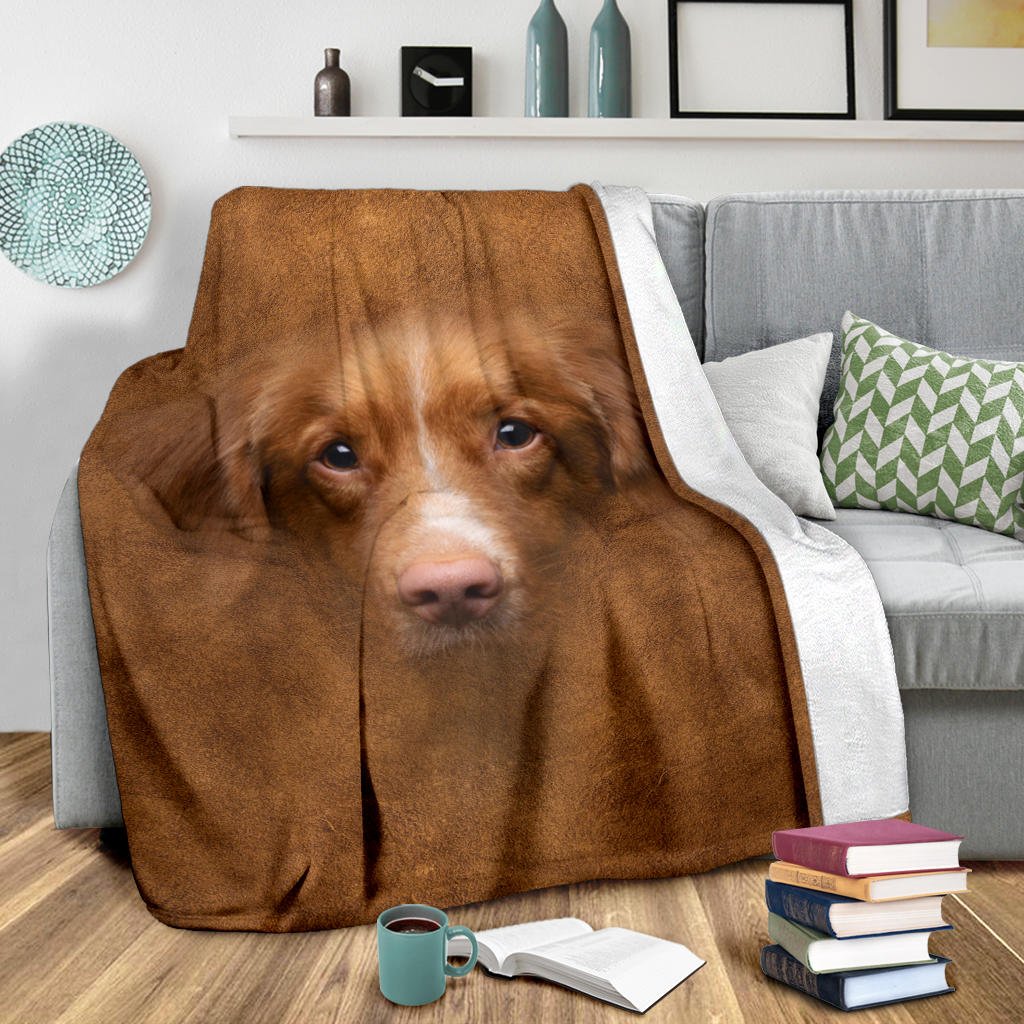 Nova Scotia Duck Tolling Retriever Face Hair - Carbone's Marketplace