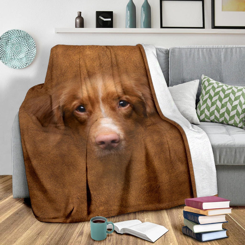 Nova Scotia Duck Tolling Retriever Face Hair - Carbone's Marketplace