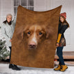 Nova Scotia Duck Tolling Retriever Face Hair - Carbone's Marketplace