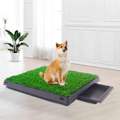 Pet toilet dog potty artificial turf environmental protection with drawer - Carbone's Marketplace