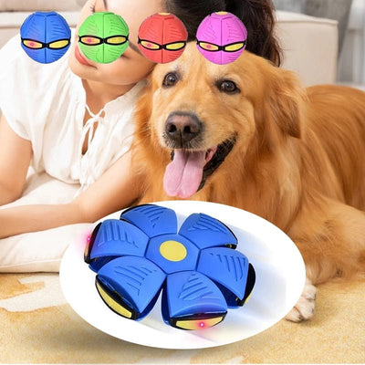 Pets Magic UFO Ball for your Dog - Carbone's Marketplace