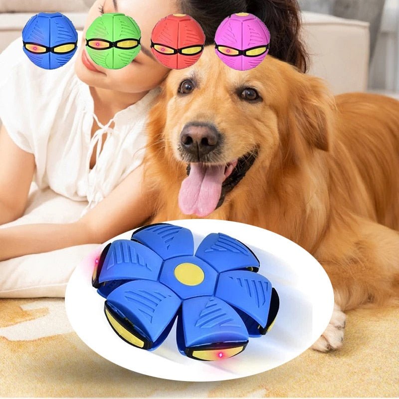 Pets Magic UFO Ball for your Dog - Carbone&