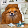 Pomeranian Face Hair Blanket - Carbone's Marketplace