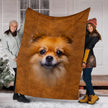 Pomeranian Face Hair Blanket - Carbone's Marketplace