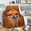 Pomeranian Face Hair Blanket - Carbone's Marketplace