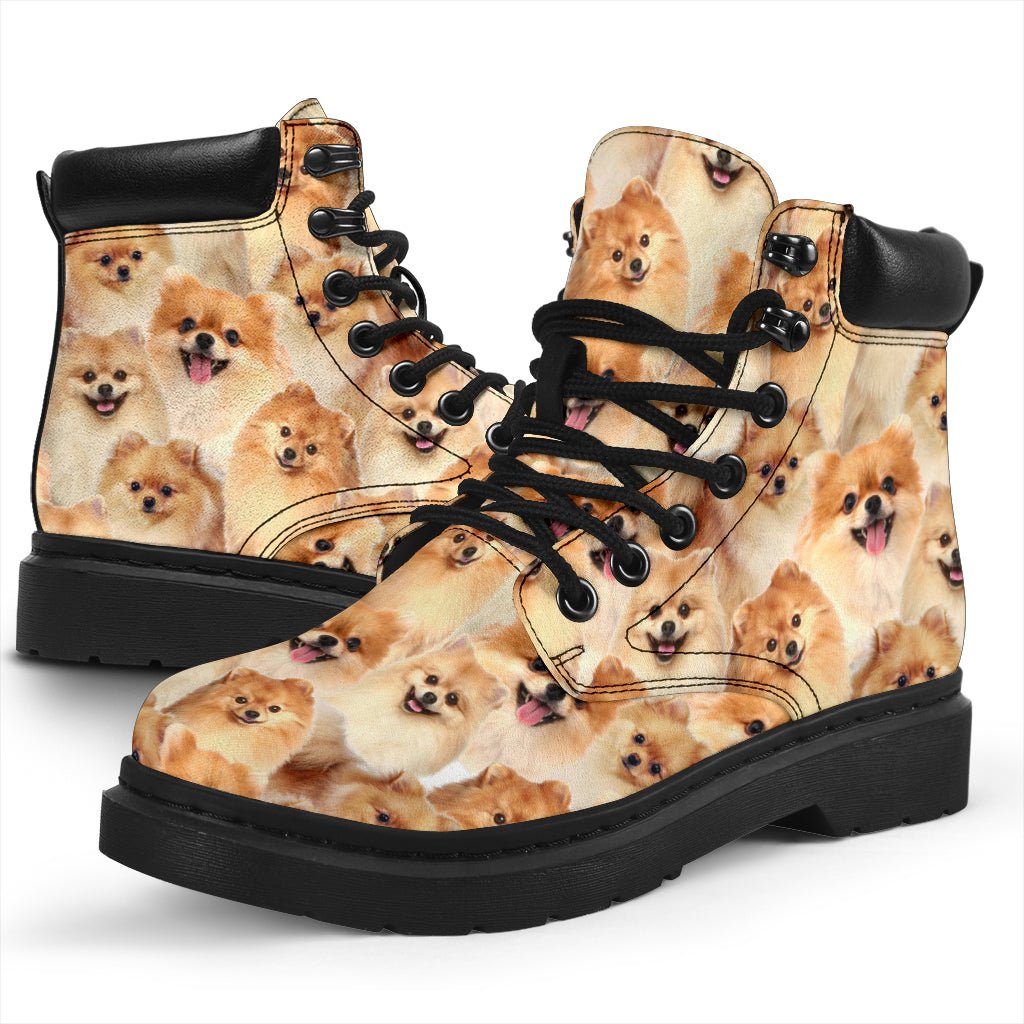 Pomeranian Full Face - Carbone's Marketplace
