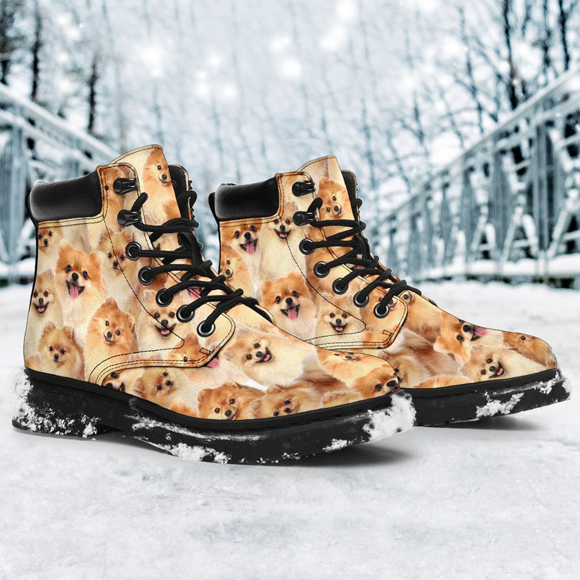 Pomeranian Full Face - Carbone's Marketplace