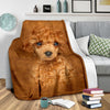 Poodle Face Hair Blanket - Carbone's Marketplace