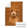 Poodle Face Hair Blanket - Carbone's Marketplace