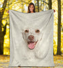 Poodle Face Hair Blanket - Carbone's Marketplace