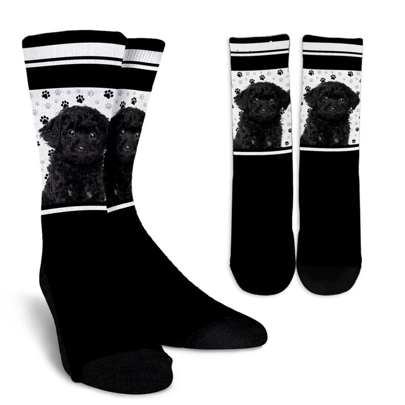 Poodle Socks - Carbone&