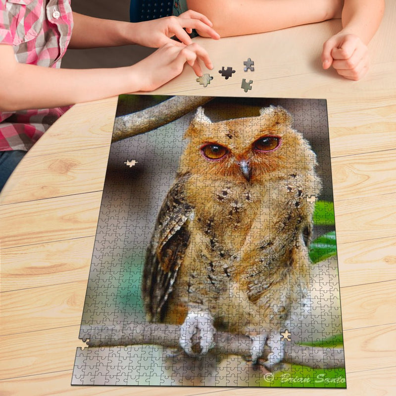 Rare Red Owl Jigsaw Puzzle - Carbone&