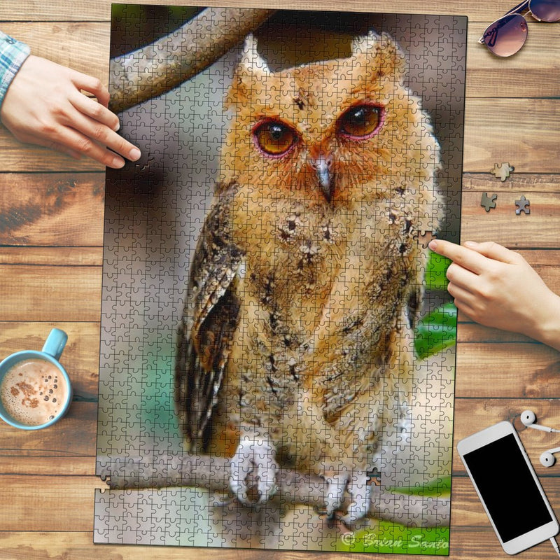 Rare Red Owl Jigsaw Puzzle - Carbone&