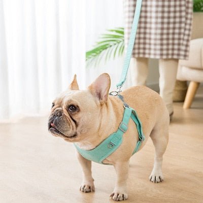 Reflective Dog Harness - Carbone's Marketplace