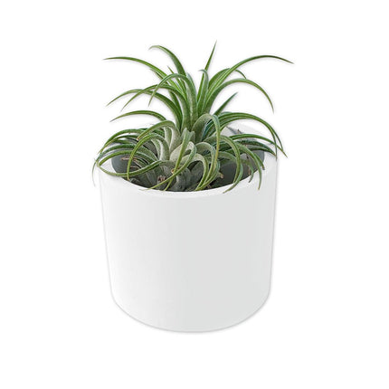 Round White Ceramic Planter - Carbone's Marketplace