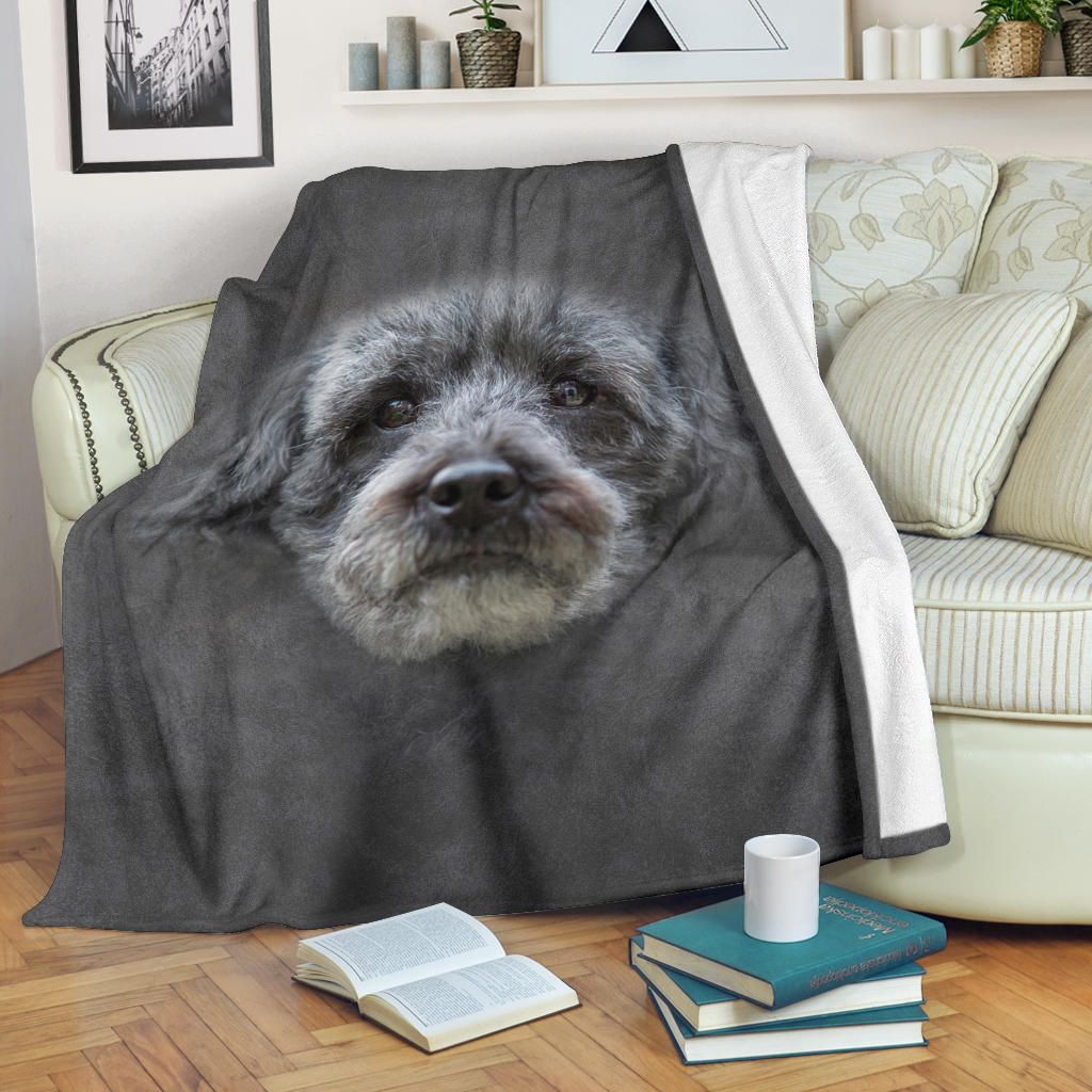 Schnoodle Face Hair Blanket - Carbone's Marketplace