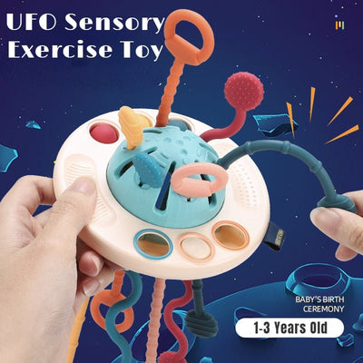 Sensory Development Baby Toys - Carbone's Marketplace